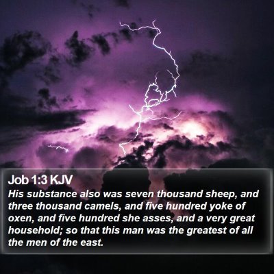 Job 1:3 KJV Bible Verse Image