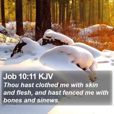 Job 10:11 KJV Bible Verse Image