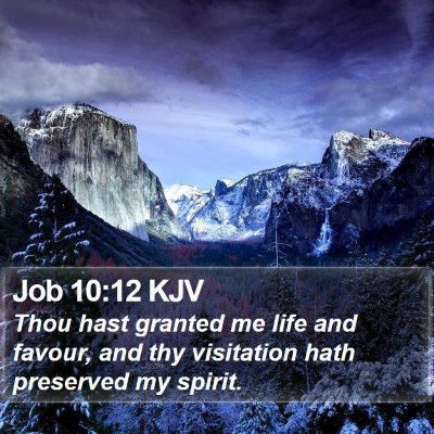 Job 10:12 KJV Bible Verse Image