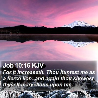 Job 10:16 KJV Bible Verse Image