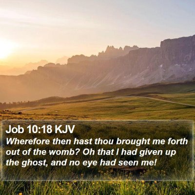Job 10:18 KJV Bible Verse Image