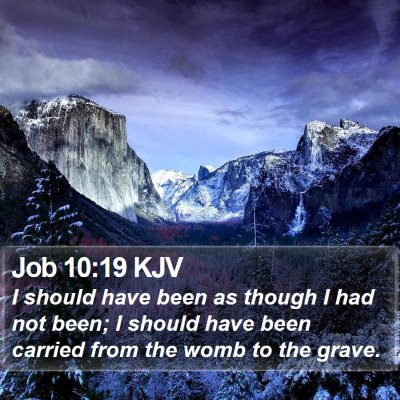 Job 10:19 KJV Bible Verse Image