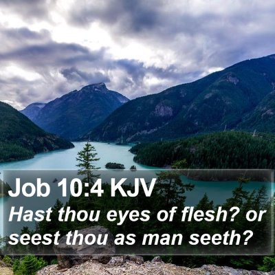 Job 10:4 KJV Bible Verse Image