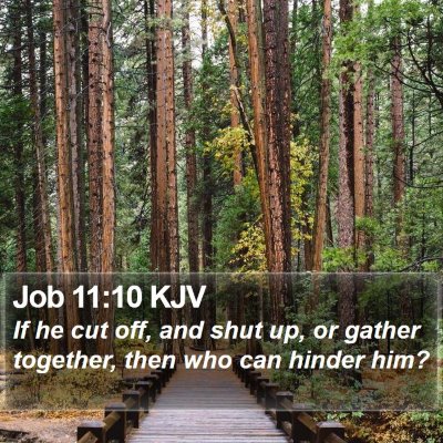 Job 11:10 KJV Bible Verse Image