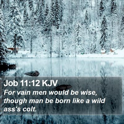 Job 11:12 KJV Bible Verse Image
