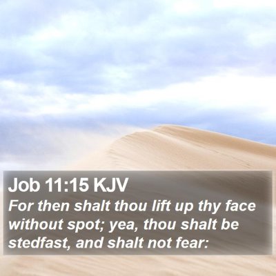 Job 11:15 KJV Bible Verse Image