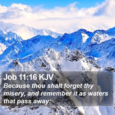 Job 11:16 KJV Bible Verse Image