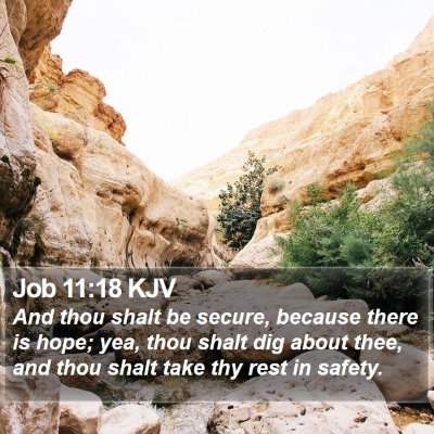 Job 11:18 KJV Bible Verse Image