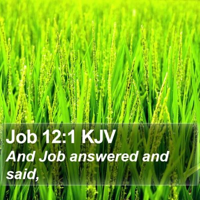 Job 12:1 KJV Bible Verse Image