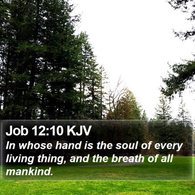 Job 12:10 KJV Bible Verse Image