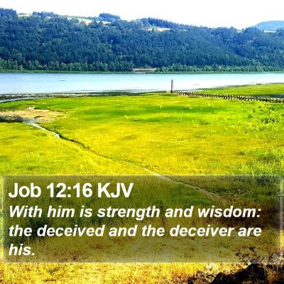 Job 12:16 KJV Bible Verse Image
