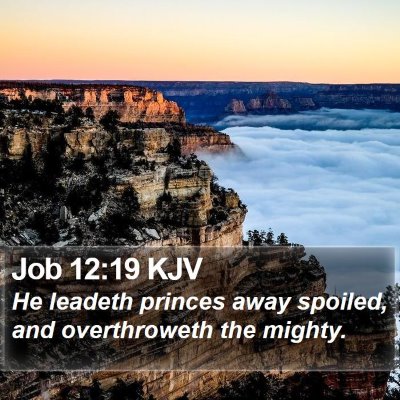 Job 12:19 KJV Bible Verse Image