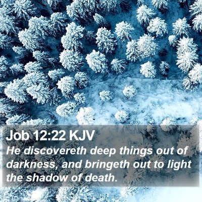 Job 12:22 KJV Bible Verse Image