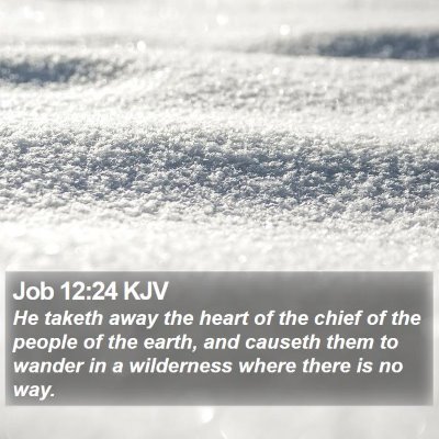 Job 12:24 KJV Bible Verse Image