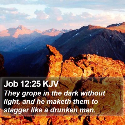 Job 12:25 KJV Bible Verse Image