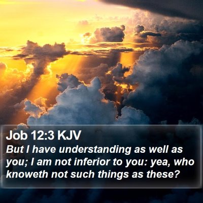 Job 12:3 KJV Bible Verse Image