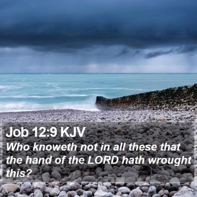 Job 12:9 KJV Bible Verse Image