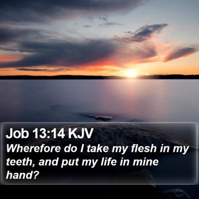 Job 13:14 KJV Bible Verse Image