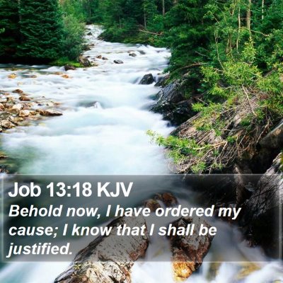 Job 13:18 KJV Bible Verse Image