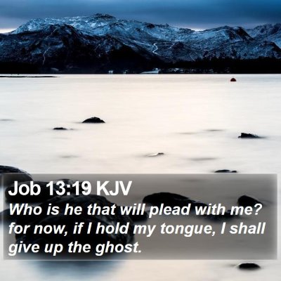 Job 13:19 KJV Bible Verse Image