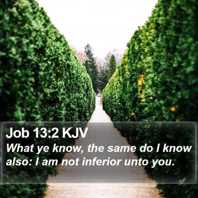 Job 13:2 KJV Bible Verse Image