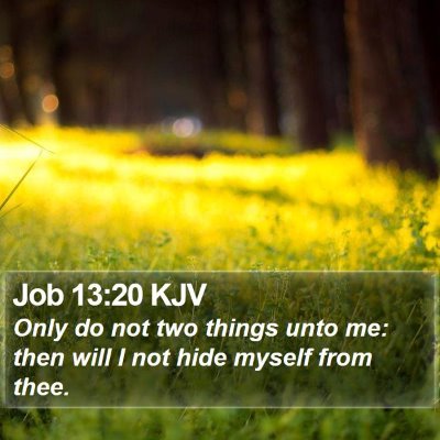 Job 13:20 KJV Bible Verse Image