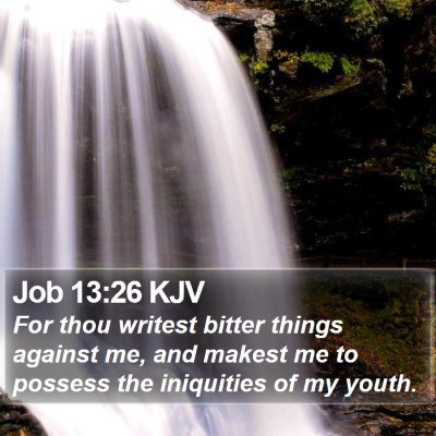 Job 13:26 KJV Bible Verse Image