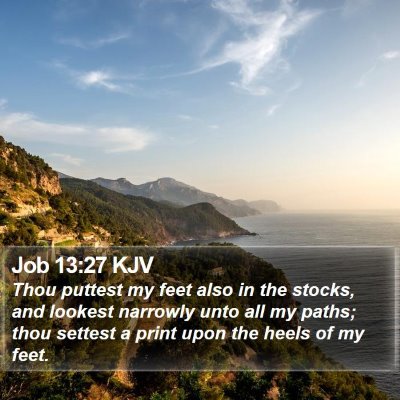 Job 13:27 KJV Bible Verse Image