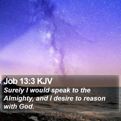 Job 13:3 KJV Bible Verse Image