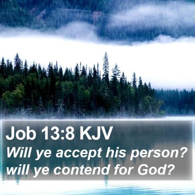 Job 13:8 KJV Bible Verse Image