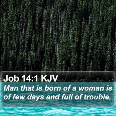 Job 14:1 KJV Bible Verse Image