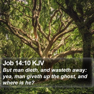 Job 14:10 KJV Bible Verse Image