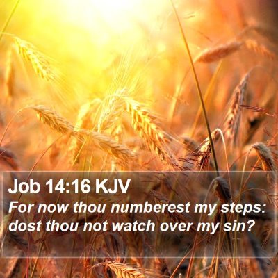 Job 14:16 KJV Bible Verse Image