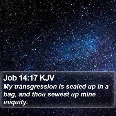 Job 14:17 KJV Bible Verse Image