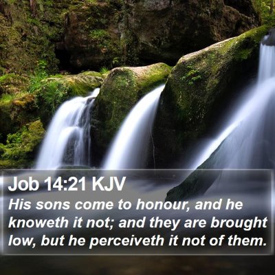 Job 14:21 KJV Bible Verse Image