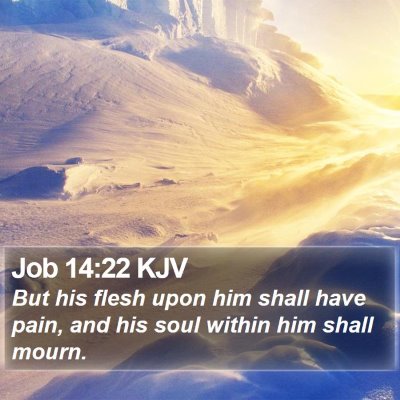 Job 14:22 KJV Bible Verse Image