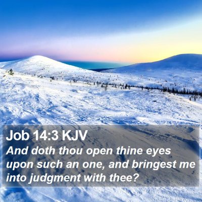 Job 14:3 KJV Bible Verse Image