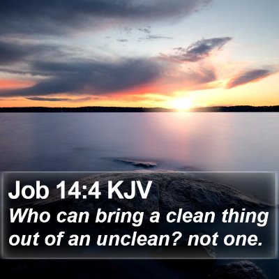 Job 14:4 KJV Bible Verse Image