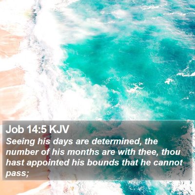 Job 14:5 KJV Bible Verse Image