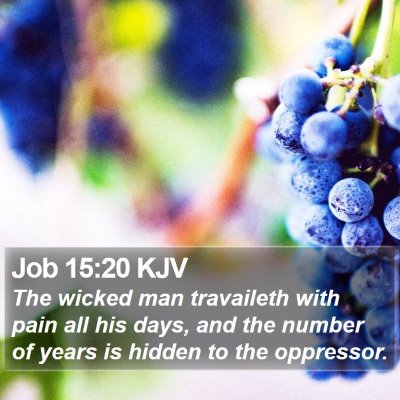 Job 15:20 KJV Bible Verse Image