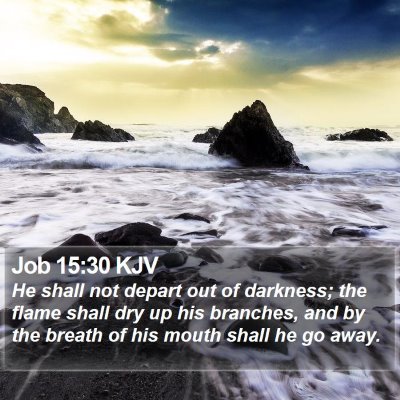 Job 15:30 KJV Bible Verse Image