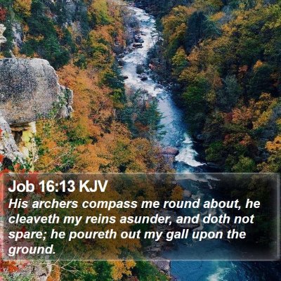 Job 16:13 KJV Bible Verse Image