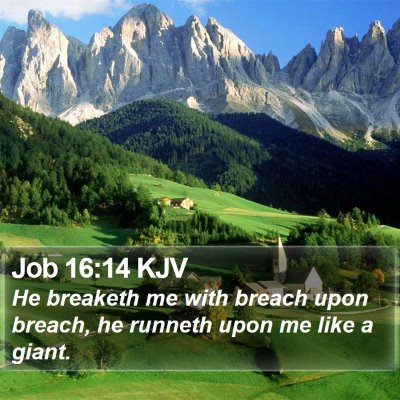 Job 16:14 KJV Bible Verse Image