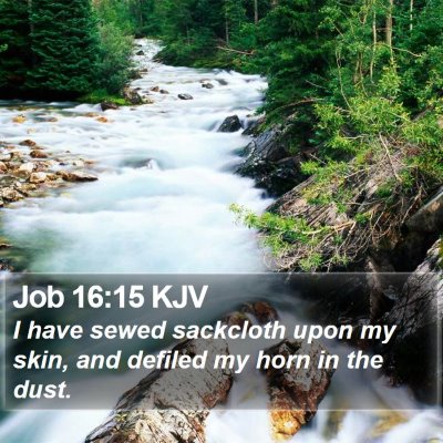Job 16:15 KJV Bible Verse Image