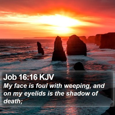 Job 16:16 KJV Bible Verse Image