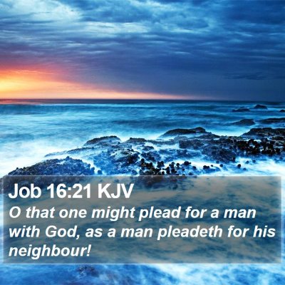 Job 16:21 KJV Bible Verse Image