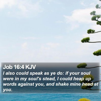 Job 16:4 KJV Bible Verse Image