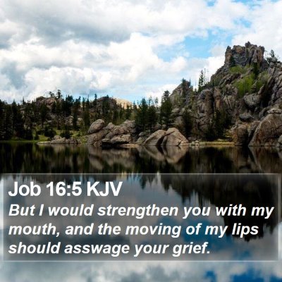 Job 16:5 KJV Bible Verse Image