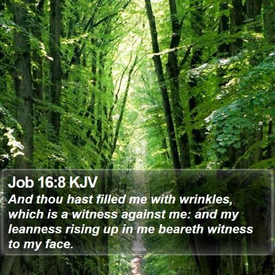 Job 16:8 KJV Bible Verse Image