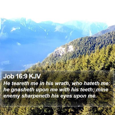 Job 16:9 KJV Bible Verse Image